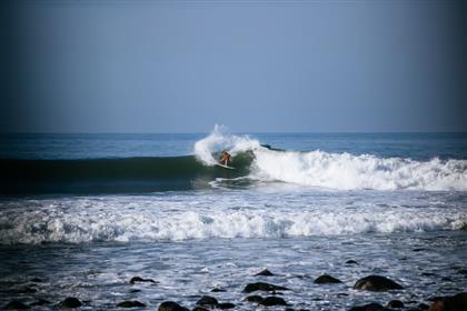 photogallery image