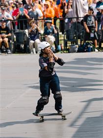 photogallery image