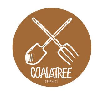 Coalatree | Image credit: Coalatree