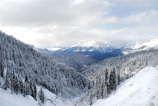 Bakuriani Ski Resort | Image credit: Facebook/Ski Resort Bakuriani