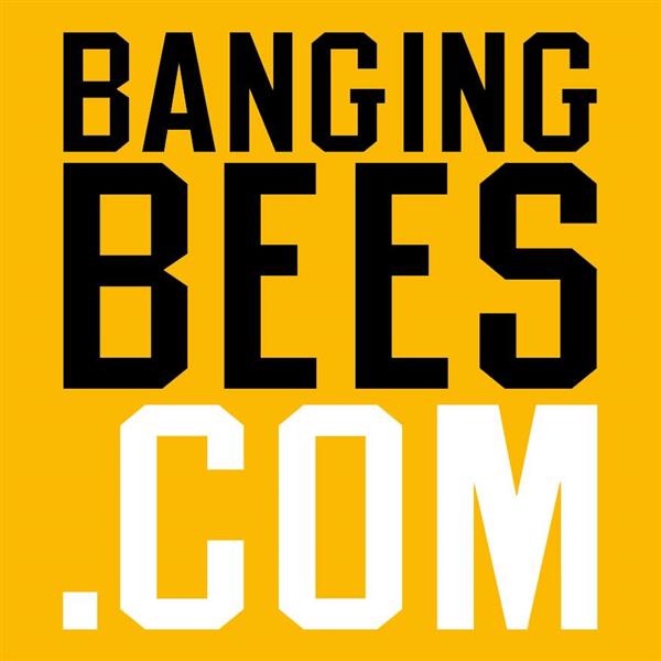 Banging Bees | Image credit: Banging Bees