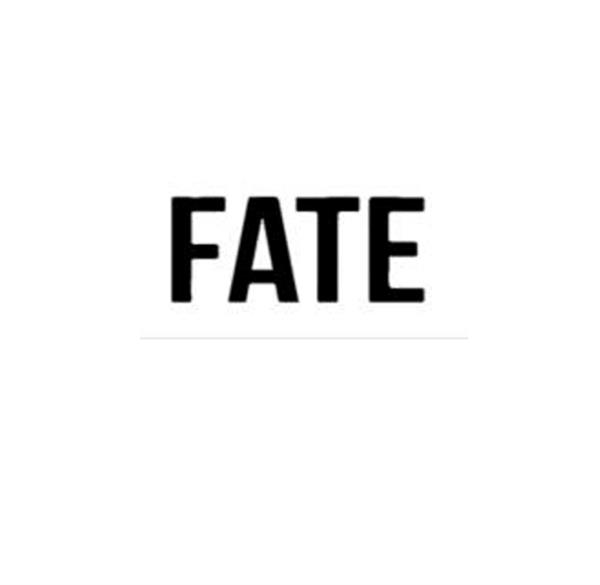 Fate Skateboarding | Image credit: Fate Skateboarding