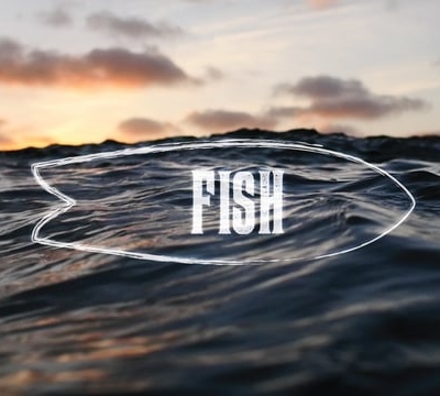 Fish - The Documentary