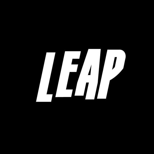 Leap Boards | Image credit: Leap Boards