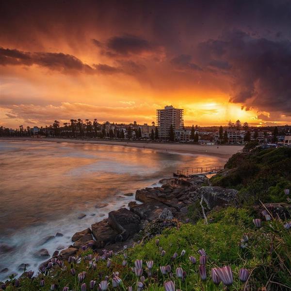Manly Beach | Image credit: Facebook / @ManlyBeachOfficial