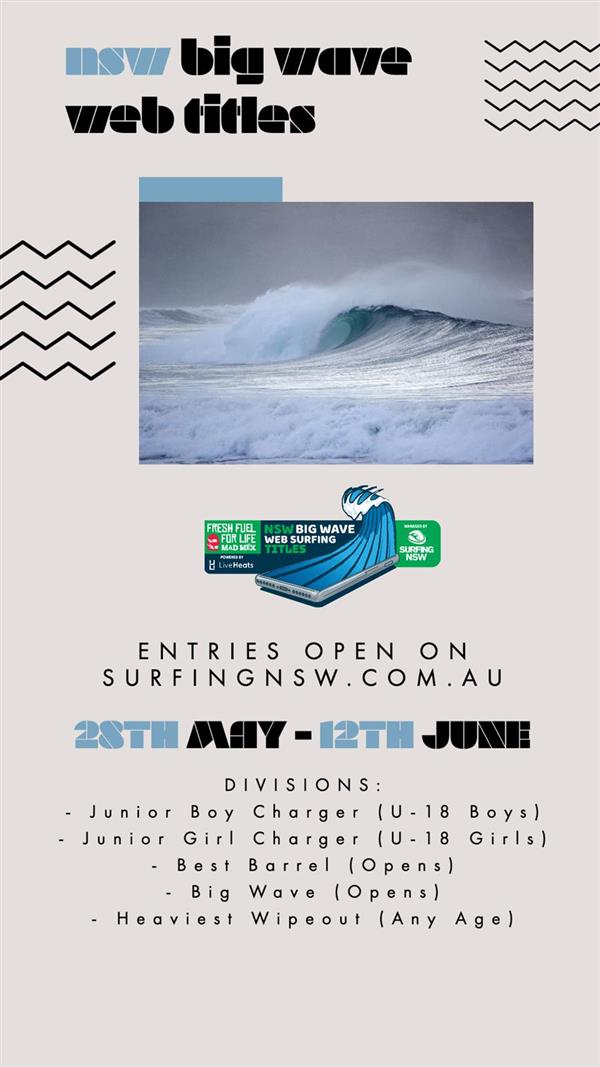 New South Wales Big Wave Web Surfing Titles 2020