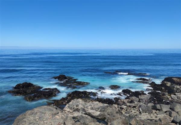 Punta De Lobos | Image credit: Google Maps / michael andres muñoz