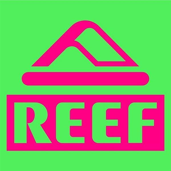 Reef | Image credit: Reef