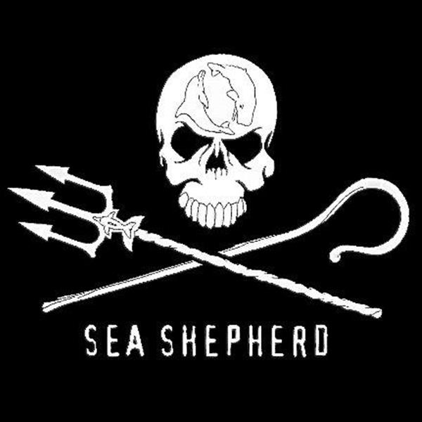 Sea Shepherd | Image credit: Sea Shepherd