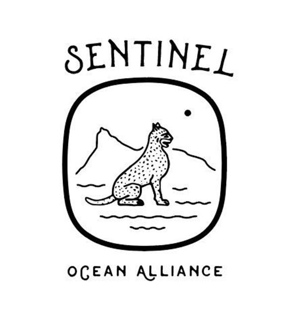 Sentinel Ocean Alliance | Image credit: Sentinel Ocean Alliance