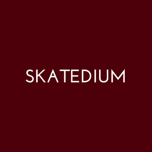 Skatedium | Image credit: Skatedium
