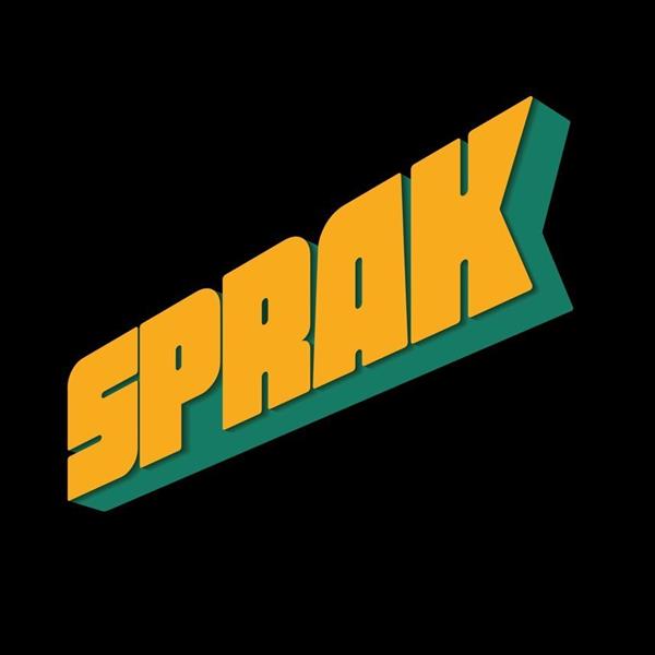 Sprak Skatepark | Image credit: Instagram / @sprakskateboarding