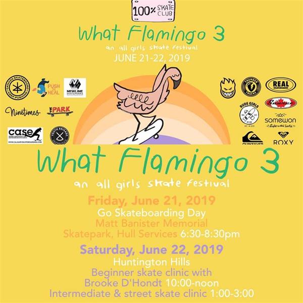 What Flamingo 3 - Calgary 2019