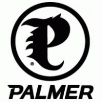 Palmer Snowboards