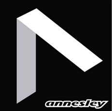 Annesley Surfboards