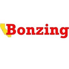 Bonzing