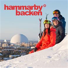 Hammarbybacken Ski Resort