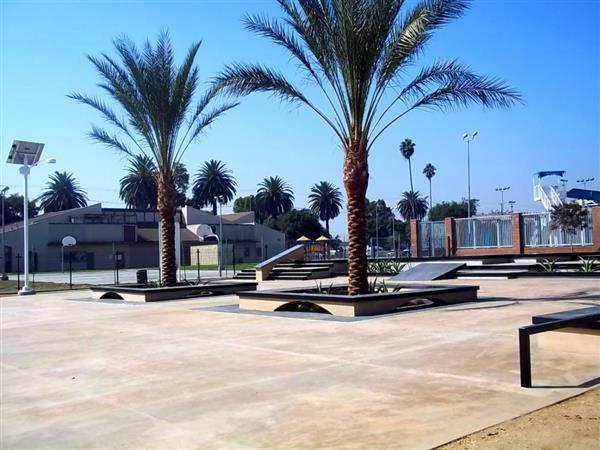 Jackie Tatum Harvard Park Skate Spot