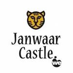 Janwaar Castle Skatepark