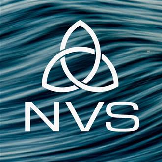 NVS - Naked Viking Surf