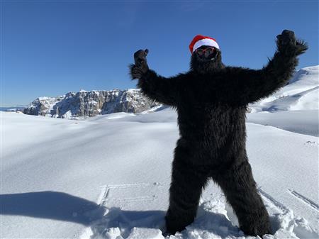 Oh oh oh! Best wishes from the Black Yeti!