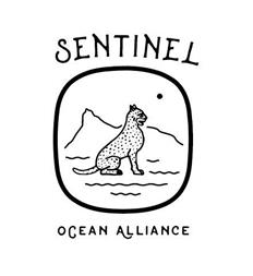 Sentinel Ocean Alliance