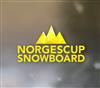 Norgescup - Varingskollen 2019