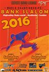 Skateboard World Championships in Banked Slalom - Step II 2016