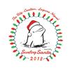 Surfing Santa Competition 2018