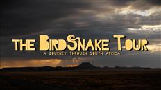 The Birdsnake Tour
