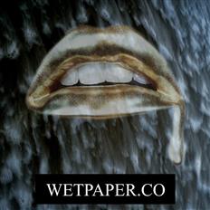 Wetpaper.co